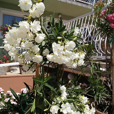 Guest house Green