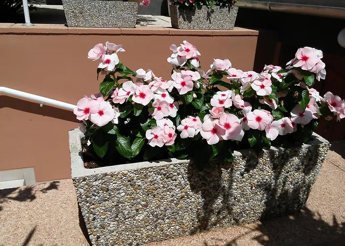 Maison d'hôtes Green