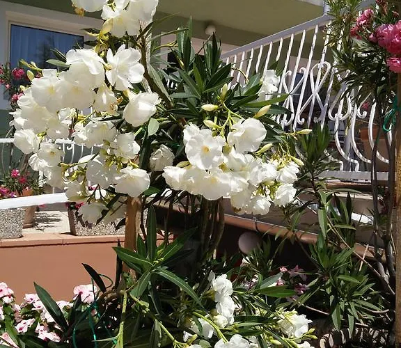 Maison d'hôtes Green