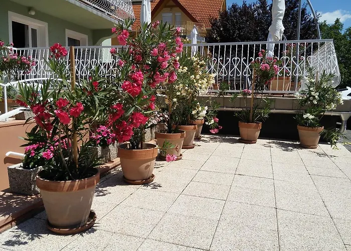 Maison d'hôtes Green